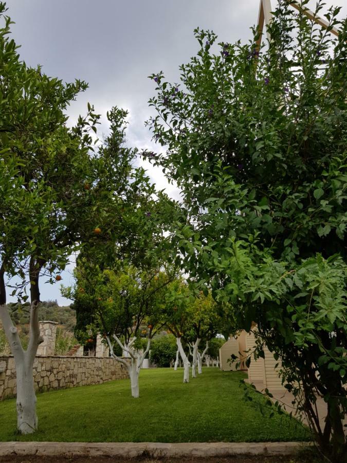 Apartmán Το Είδωλον Epidaurus Exteriér fotografie